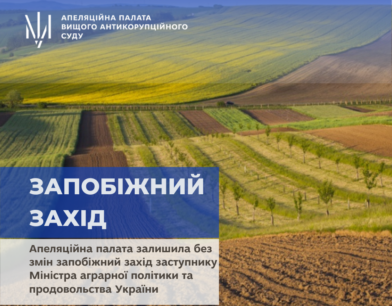 Апеляційна палата залишила без змін запобіжний захід заступнику Міністра аграрної політики та продовольства України